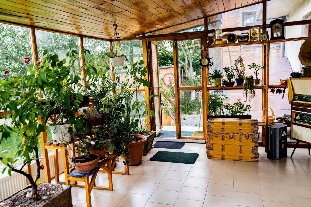 Hostel Villa Roma Lviv Kültér fotó
